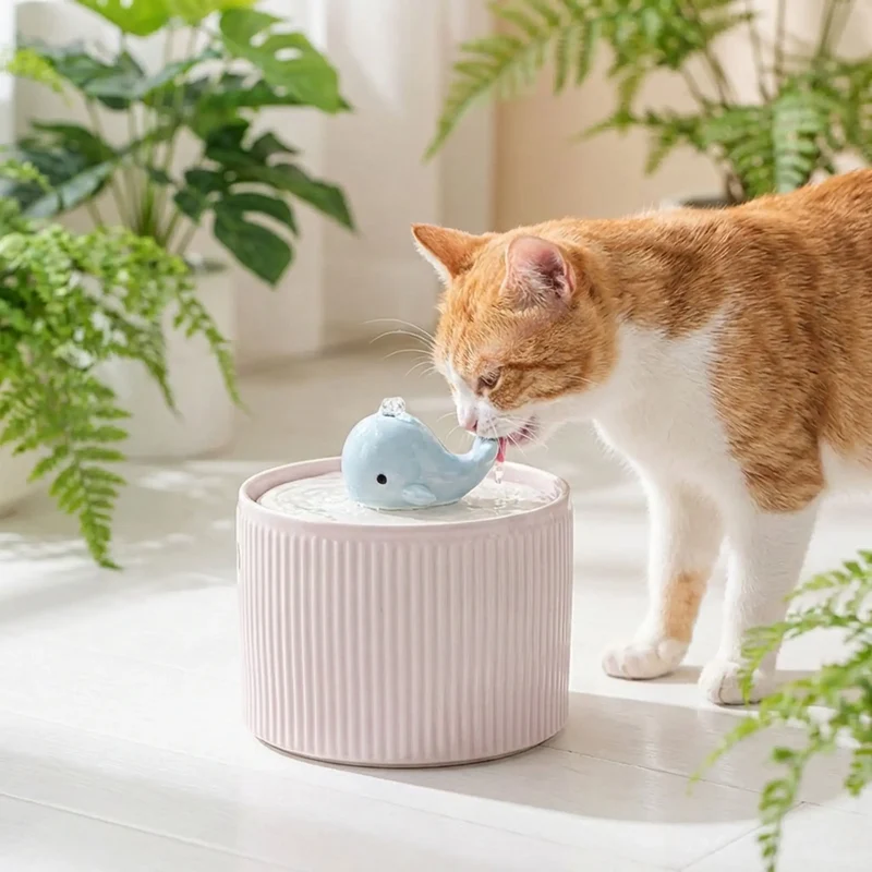 FONTAINE EAU CERAMIQUE DESIGN BALEINE SILENCIEUSE - CatsFlow