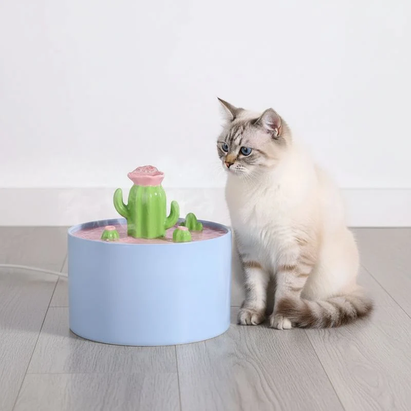 FONTAINE EAU CHAT CERAMIQUE - Cactus