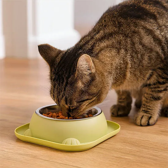 Gamelle pour chat - MinouGourmet