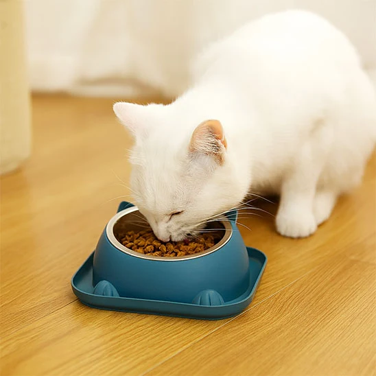Gamelle pour chat - MinouGourmet