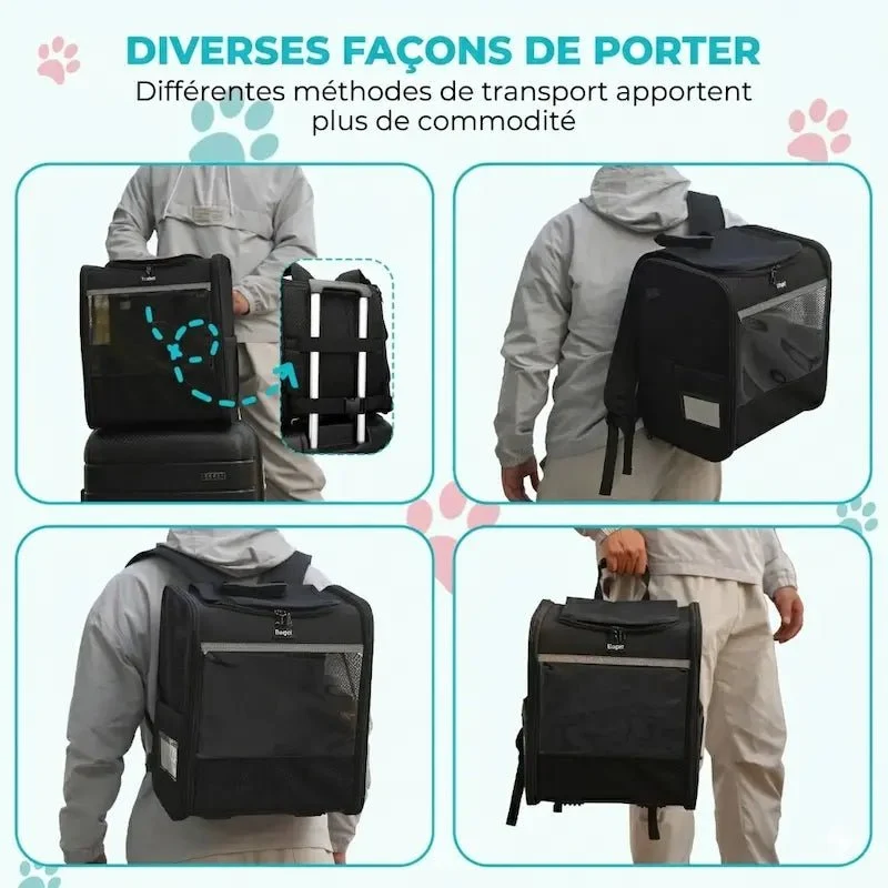 Sac à dos chat Backpack XL - Ventilé | FelisPack
