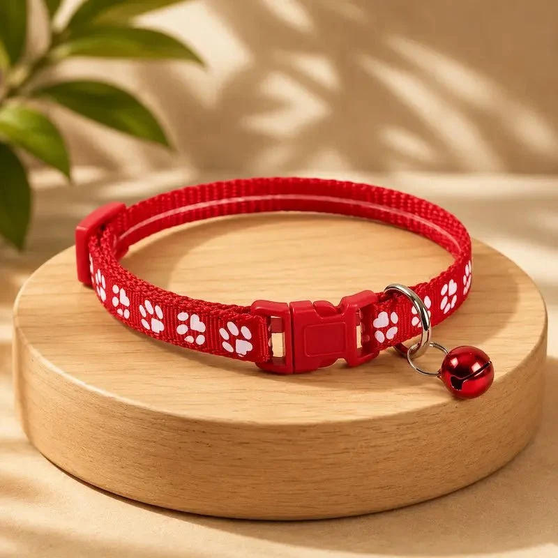 Collier chat motif coloré - Léger et réglable | PawColor
