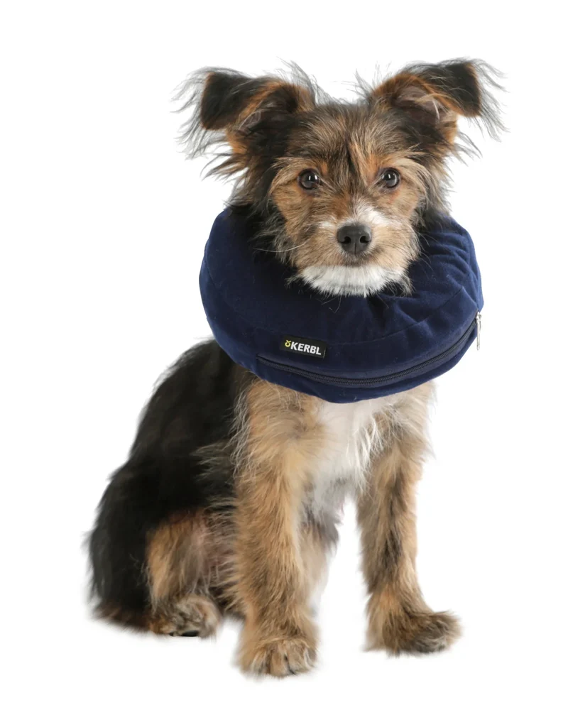 Collerette gonflable pour chiens