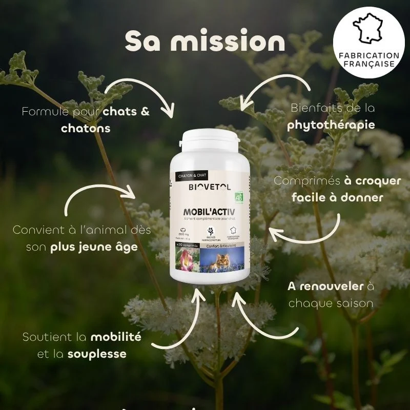 Comprimés MOBIL'ACTIV chat Biovetol