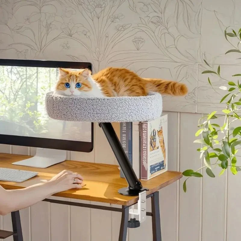 Lit chat bureau – Gain de place & confort | MiaouDesk