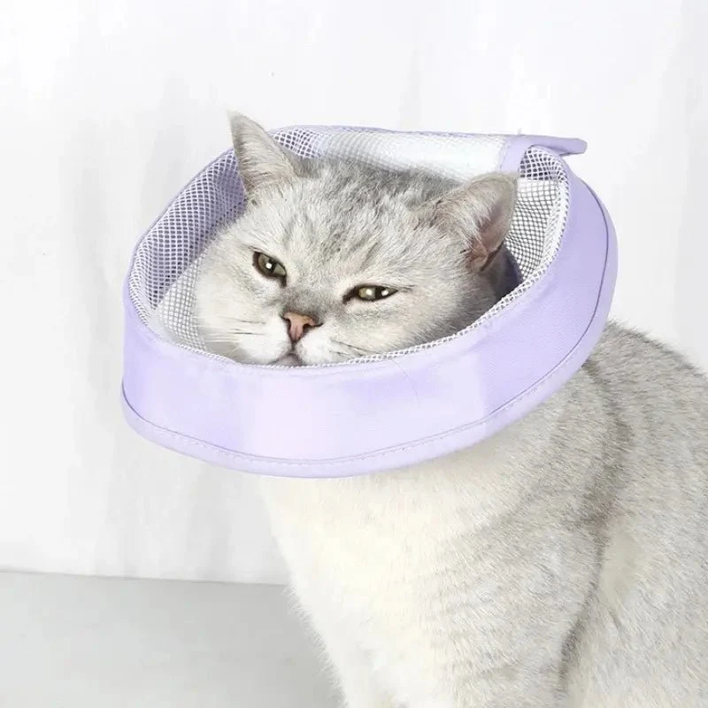 Collerette anti-rayures chat - Confort & hygiène | Pawlyss