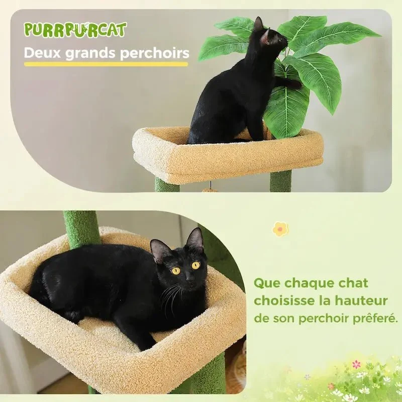 Arbre à chat XXL multi-niveaux - Ultra stable | FeliHome