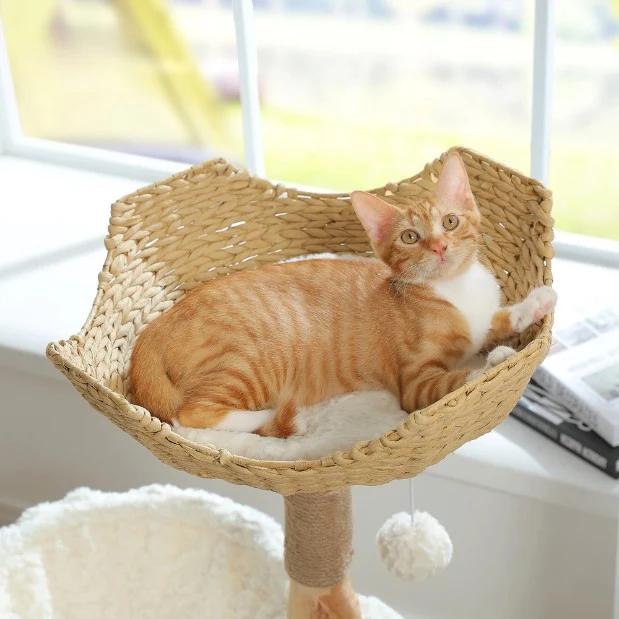 Arbre a chat bois flotté avec panier rotin