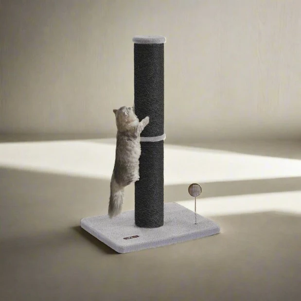 Griffoir chat - Poteau sisal