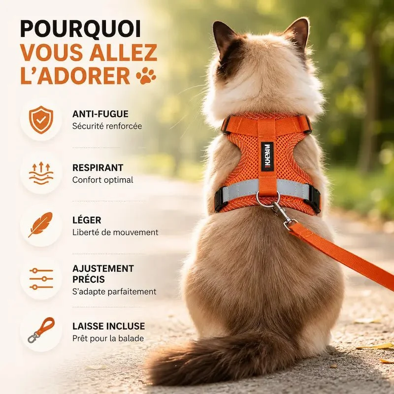 Harnais en nylon pour chat - Sécurité & confort | Duomm