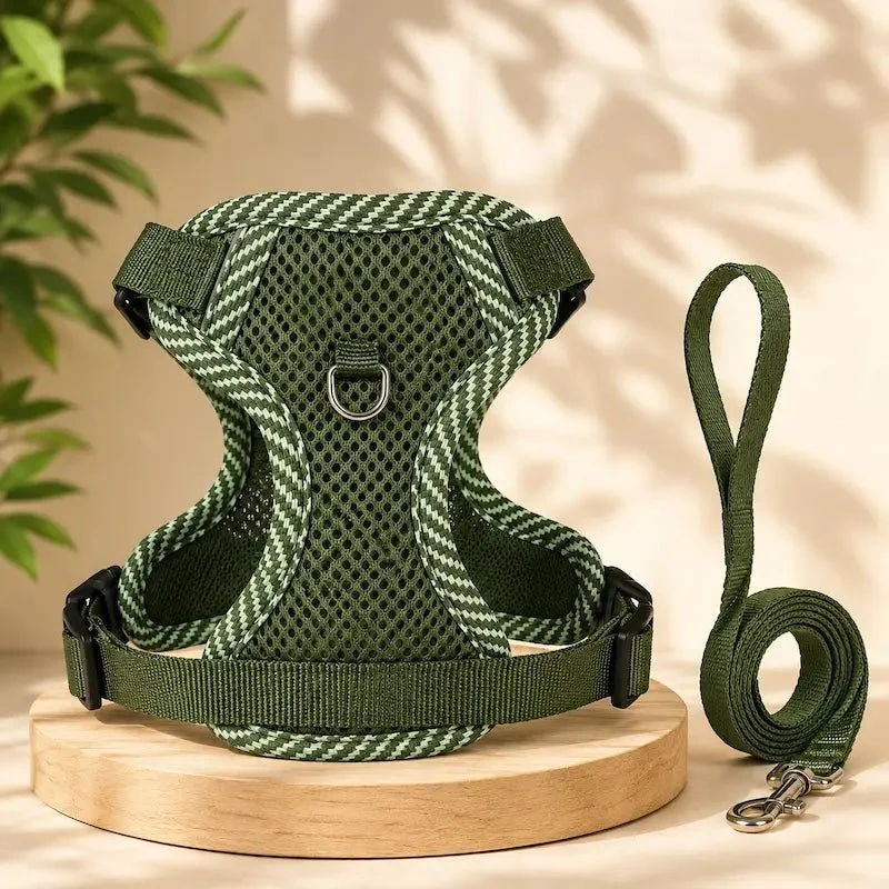Harnais en nylon pour chat - Sécurité & confort | Duomm