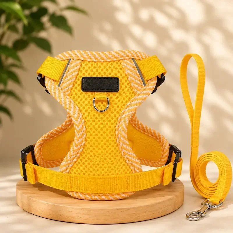 Harnais en nylon pour chat - Sécurité & confort | Duomm