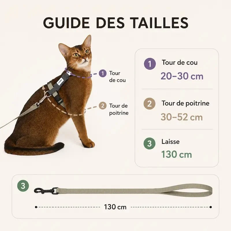 Harnais chat en H - Sécurité & confort | MiaouSafe