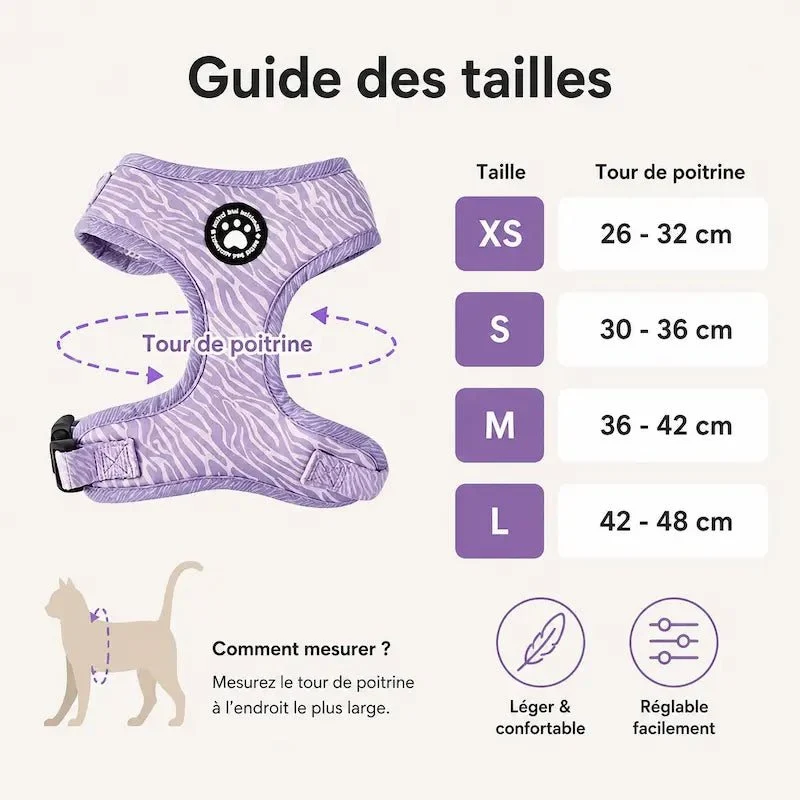 Harnais laisse coloré - Sécurité et confort | MiaouWalk