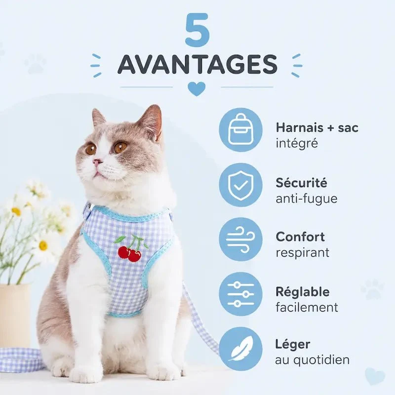 Harnais sac à dos chat – Sécurité & confort | PurrGo