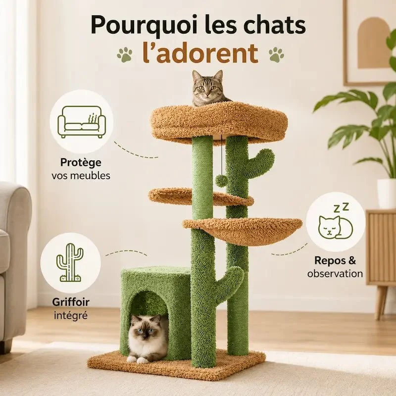 Arbre à chat cactus avec griffoir - Jeu & repos design | FeliNest