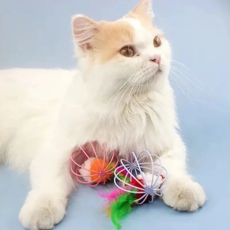 Jouet chat boule souris dedans - Anti-ennui félin | Purrly