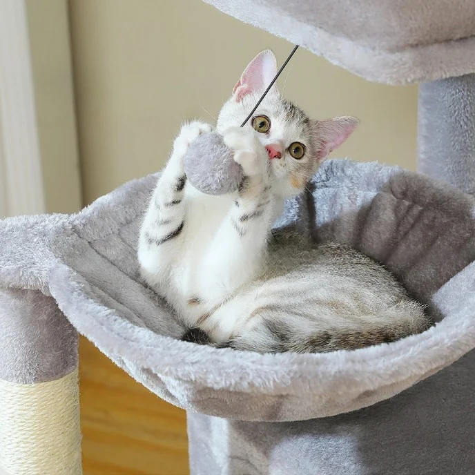 Petit arbre a chat avec griffoir