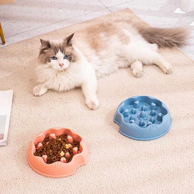 Gamelle anti-glouton chat - Alimentation Lente