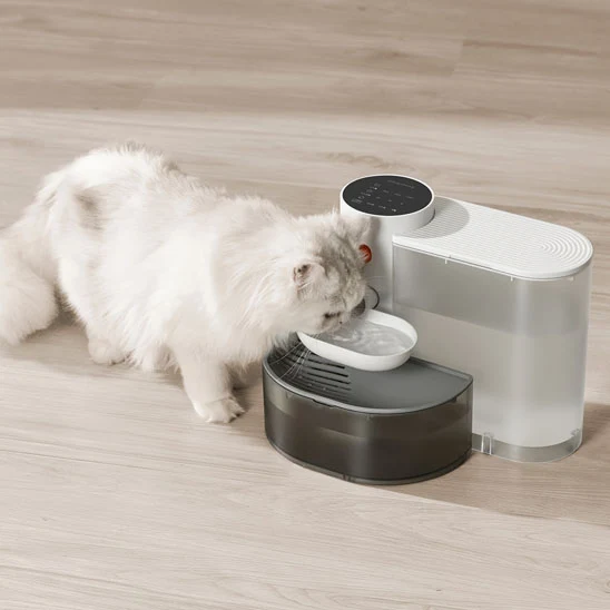 Fontaine eau chat - Abreuvoir automatique