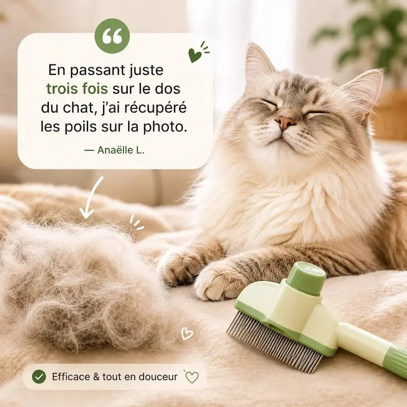 Peigne chat poils longs - Démêle sans douleur | SoftFur+