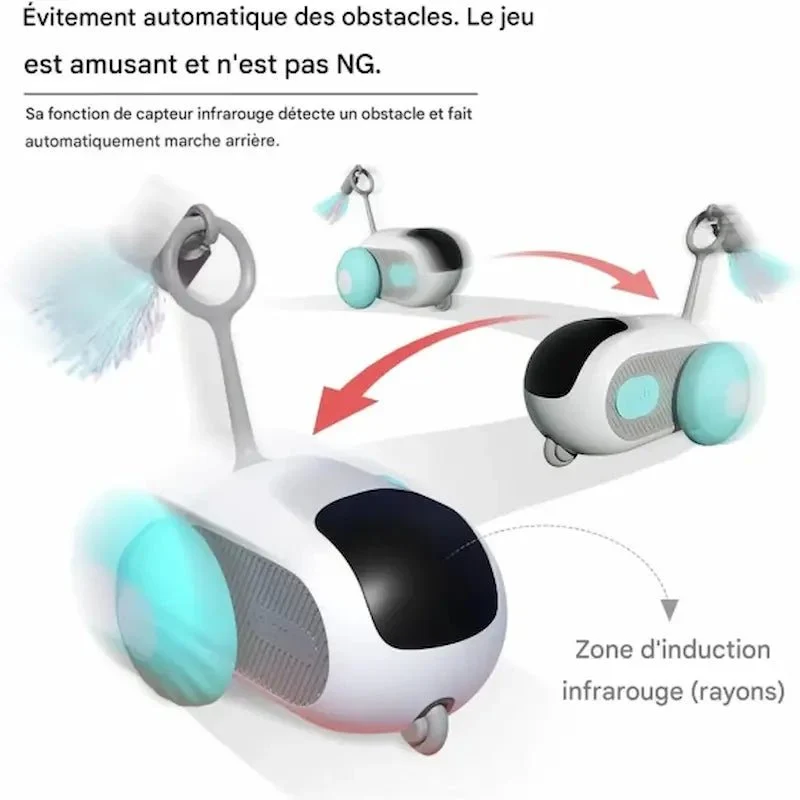 Voiture télécommandée chat - Chasse et rires garantis | MiaouGo