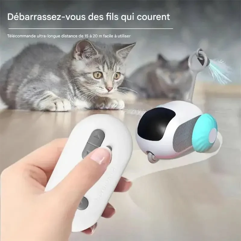 Voiture télécommandée chat - Chasse et rires garantis | MiaouGo