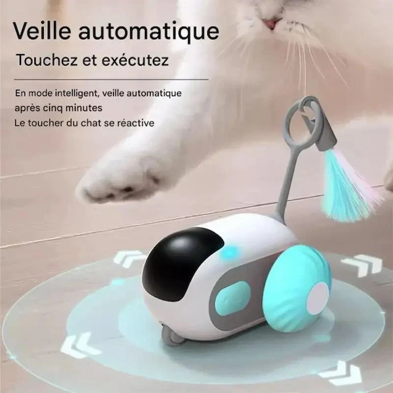 Voiture télécommandée chat - Chasse et rires garantis | MiaouGo