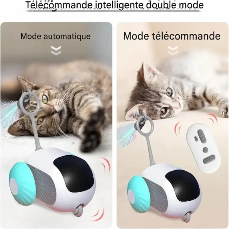 Voiture télécommandée chat - Chasse et rires garantis | MiaouGo
