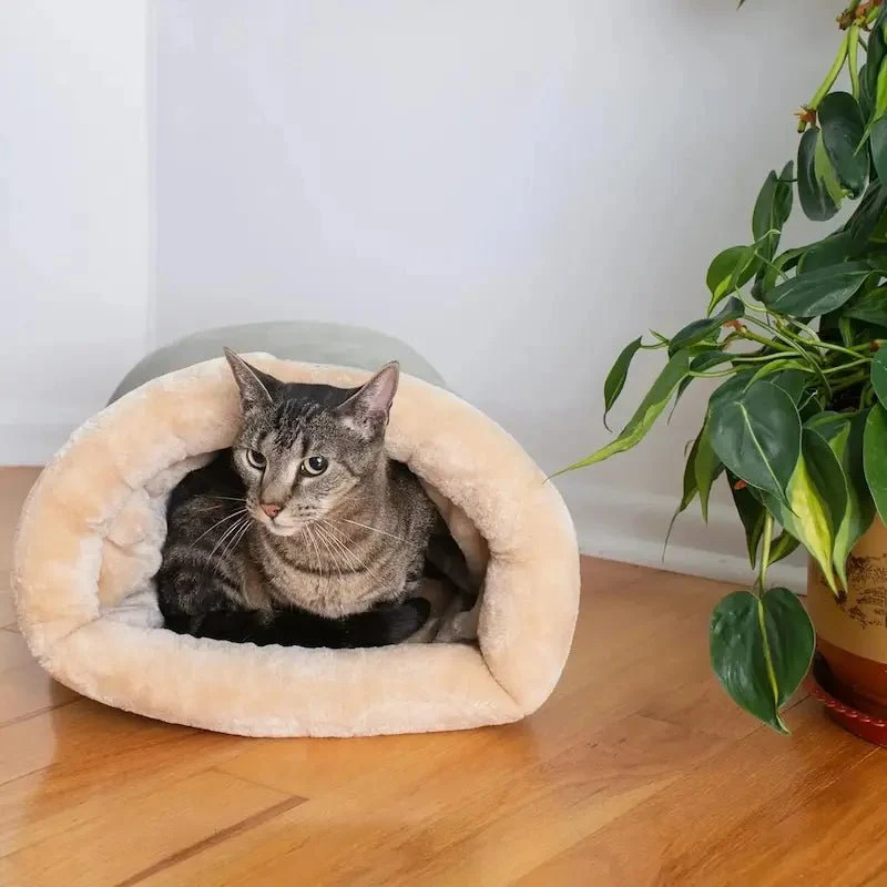 Nid couchage chat - Cocon doux et design | PurrDream