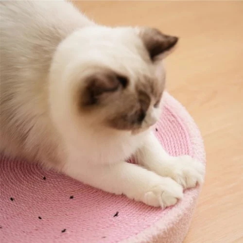 Griffoir lit sisal pour chat - Furūtsu