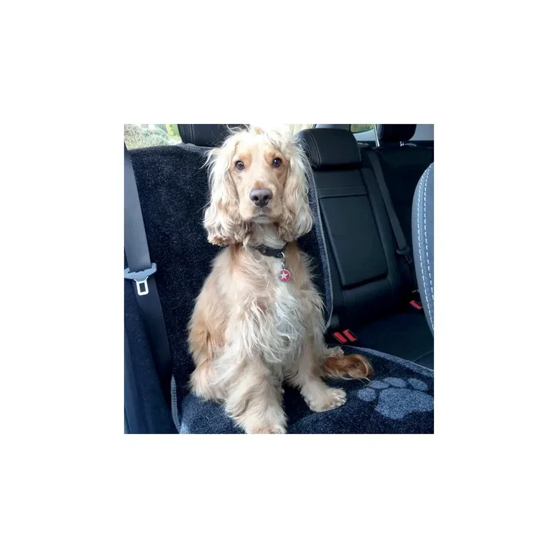 Tapis protection siège voiture - Chien