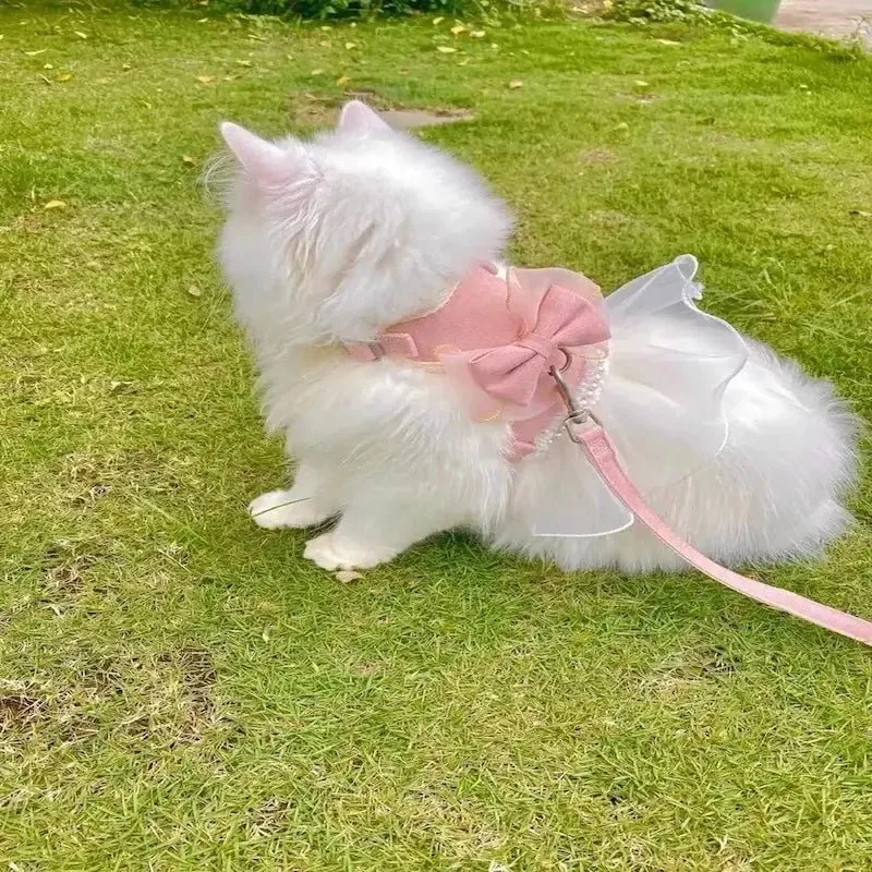 Harnais chat robe princesse - Confort royal | CatRoyale