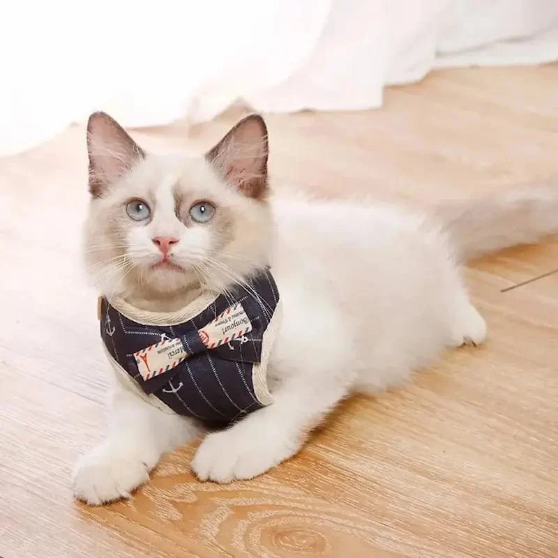 Harnais chat nœud papillon - Chic et sécurisé | CatElegance