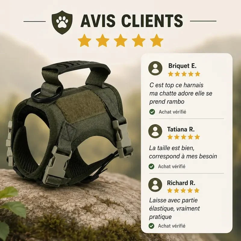 Harnais tactique chat - Anti-fugue et confort | CatArmor