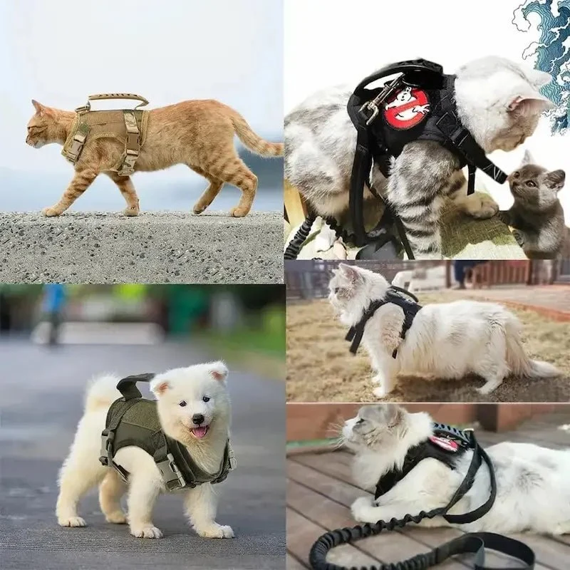 Harnais tactique chat - Anti-fugue et confort | CatArmor