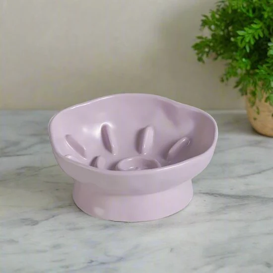 Gamelle anti glouton chaton- Lotus