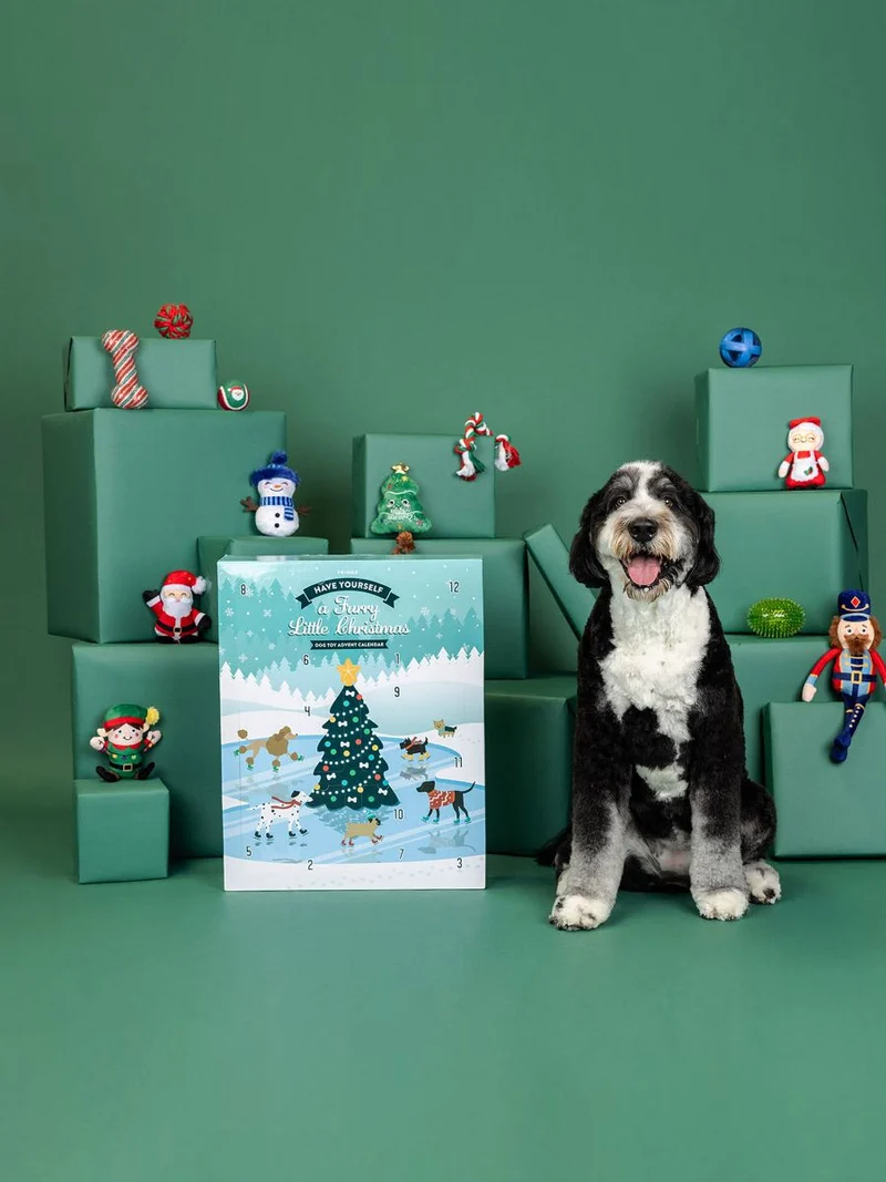 Calendrier de l'avent XXL pour chien - 12 jouets - Fringe PetShop