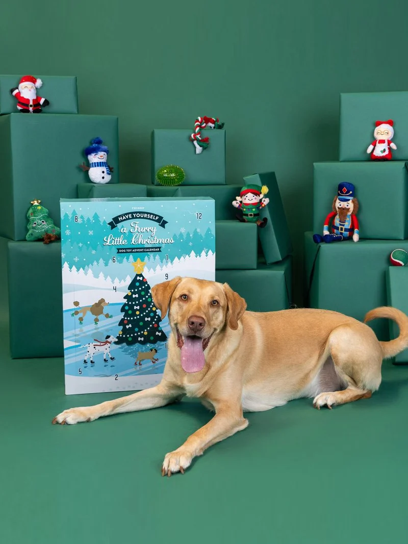 Calendrier de l'avent XXL pour chien - 12 jouets - Fringe PetShop