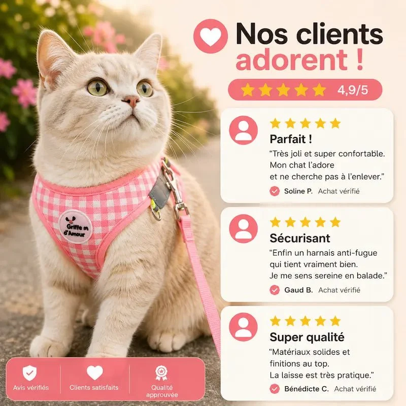 Harnais chat respirant - Anti-fugue léger | PurrBreeze