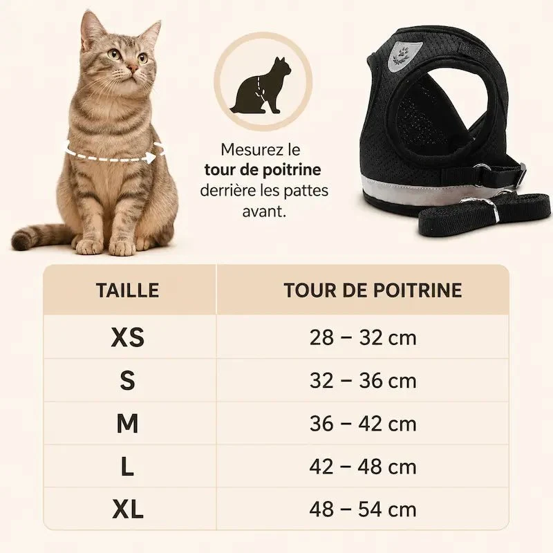 Harnais gilet maille chat - Léger & respirant | PurrMesh