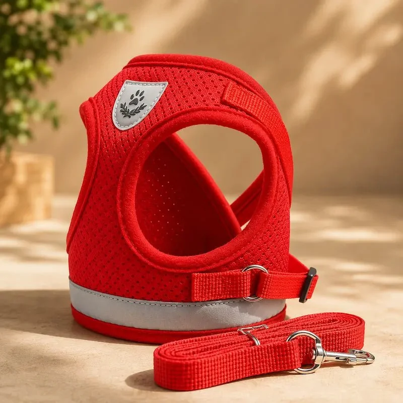 Harnais gilet maille chat - Léger & respirant | PurrMesh