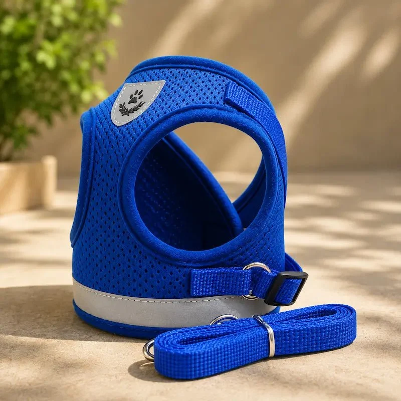 Harnais gilet maille chat - Léger & respirant | PurrMesh