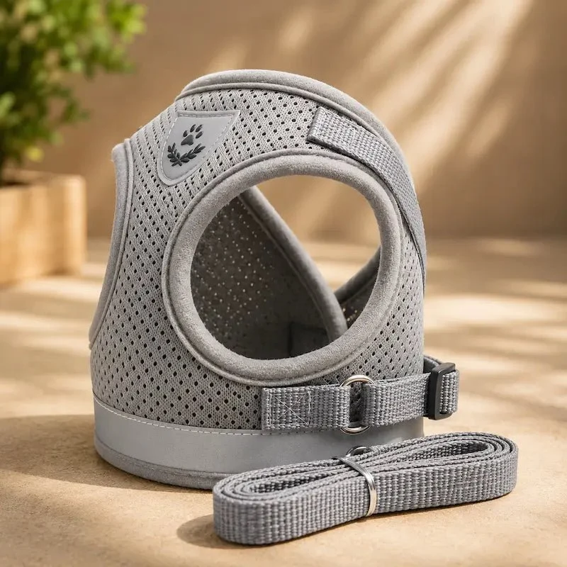 Harnais gilet maille chat - Léger & respirant | PurrMesh
