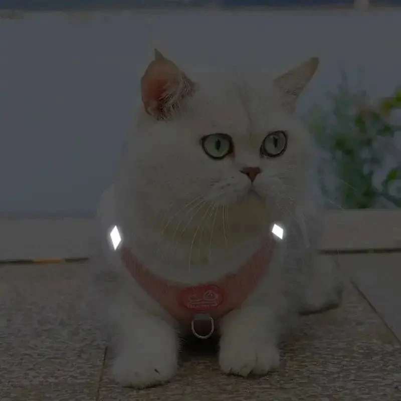 Harnais chat fourrure - Confort chaud | PurrFur