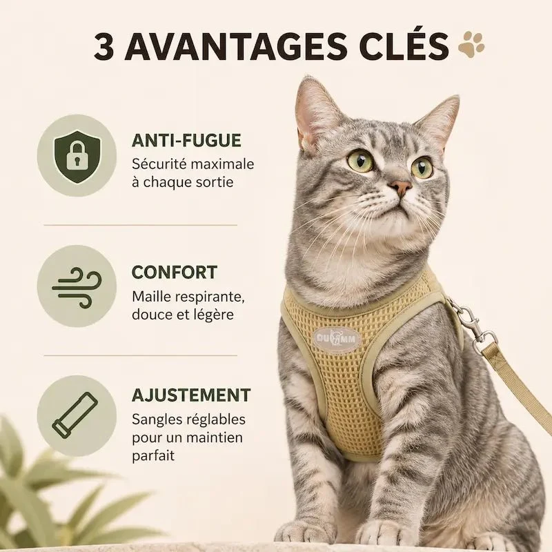 Harnais chat anti-évasion - Sécurité renforcée | CatLock