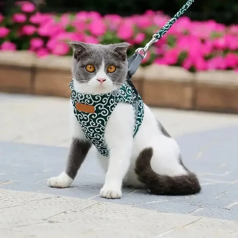 Harnais veste chat - Confort & sécurité | PurrVest