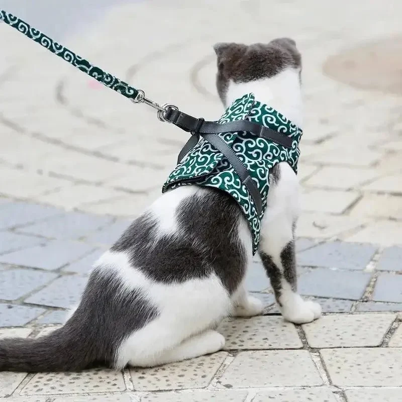 Harnais veste chat - Confort & sécurité | PurrVest