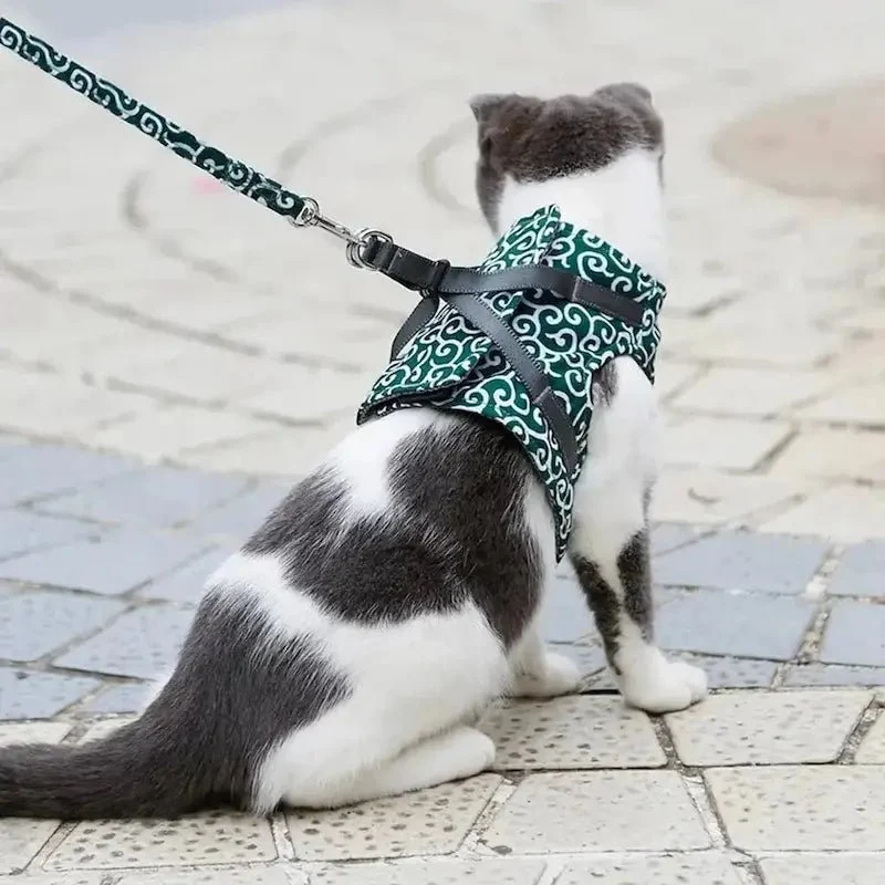 Harnais veste chat - Confort & sécurité | PurrVest