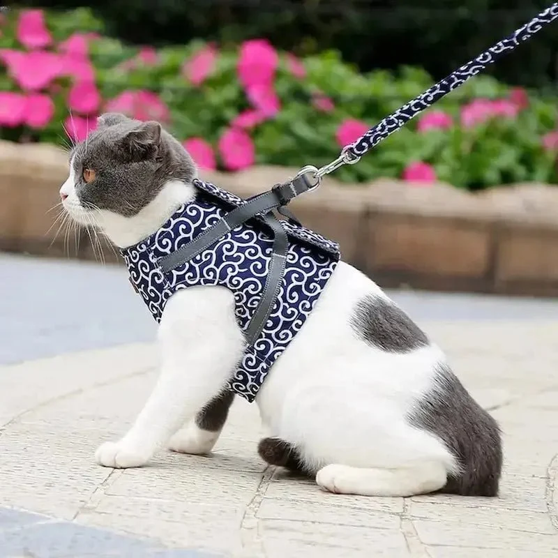 Harnais veste chat - Confort & sécurité | PurrVest
